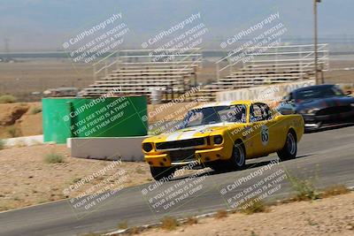 media/May-07-2022-Cobra Owners Club of America (Sat) [[e681d2ddb7]]/Blue/Session 1 (Turn 4)/